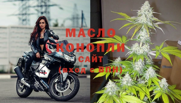 тгк Щёлкино