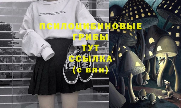 гидропоника Щигры