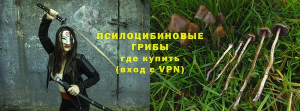 а пвп мука Щучье