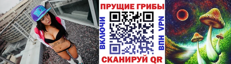 Галлюциногенные грибы Cubensis  купить   Билибино 